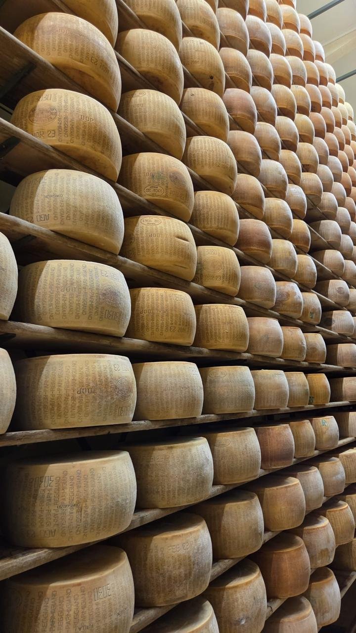 Corredor de rodas de Parmigiano Reggiano envelhecendo em um caseificio